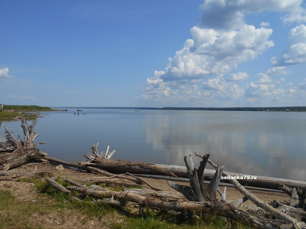 Температуре обское море. Остров Чингис Новосибирская область. Чингис остров Новосибирск. Обское озеро в Новосибирске. Село Чингис Ордынский район.