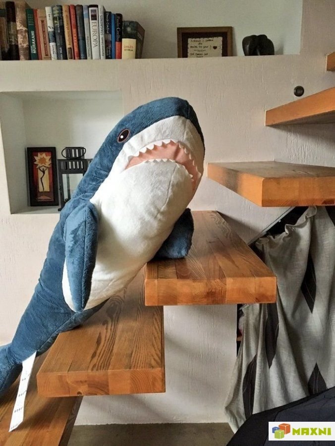 Вот так вот выглядит акула. Зубастенькая, но страаашно красивая＼(￣▽￣)／ 
