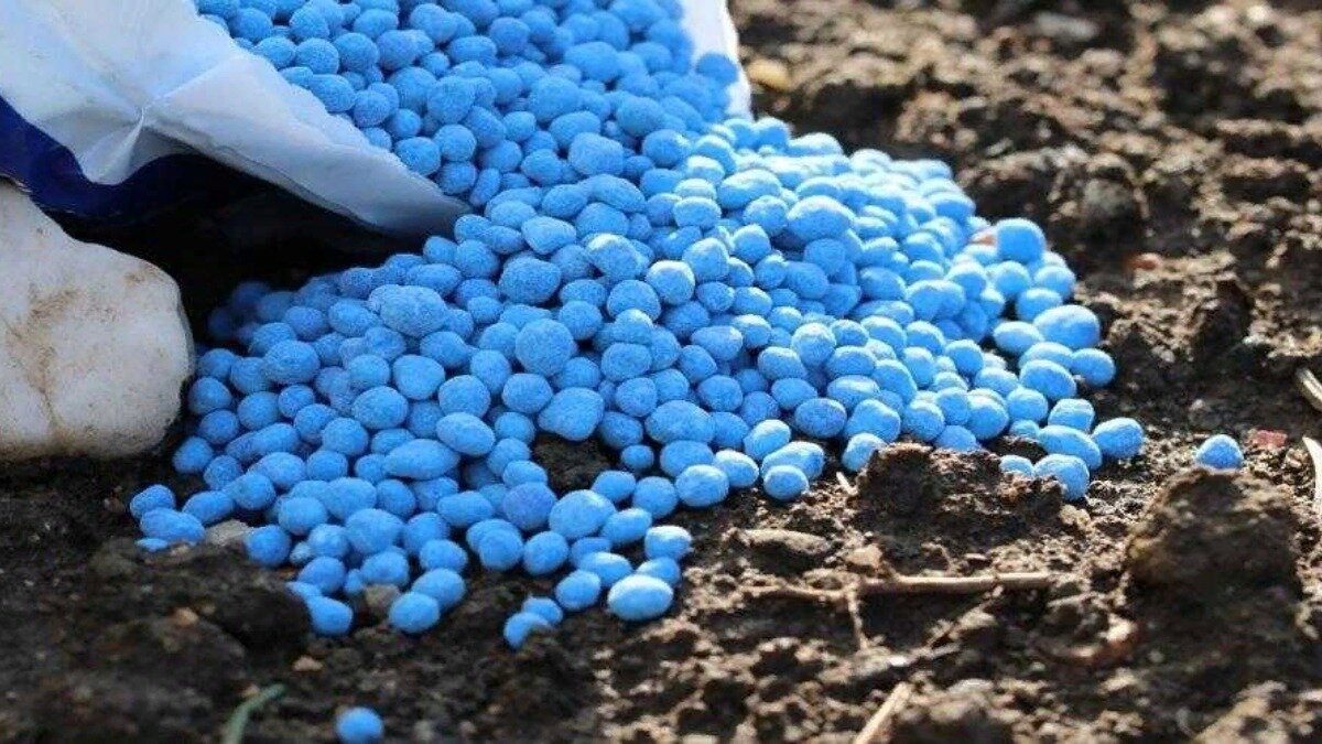 Фото: hozsektor.ru