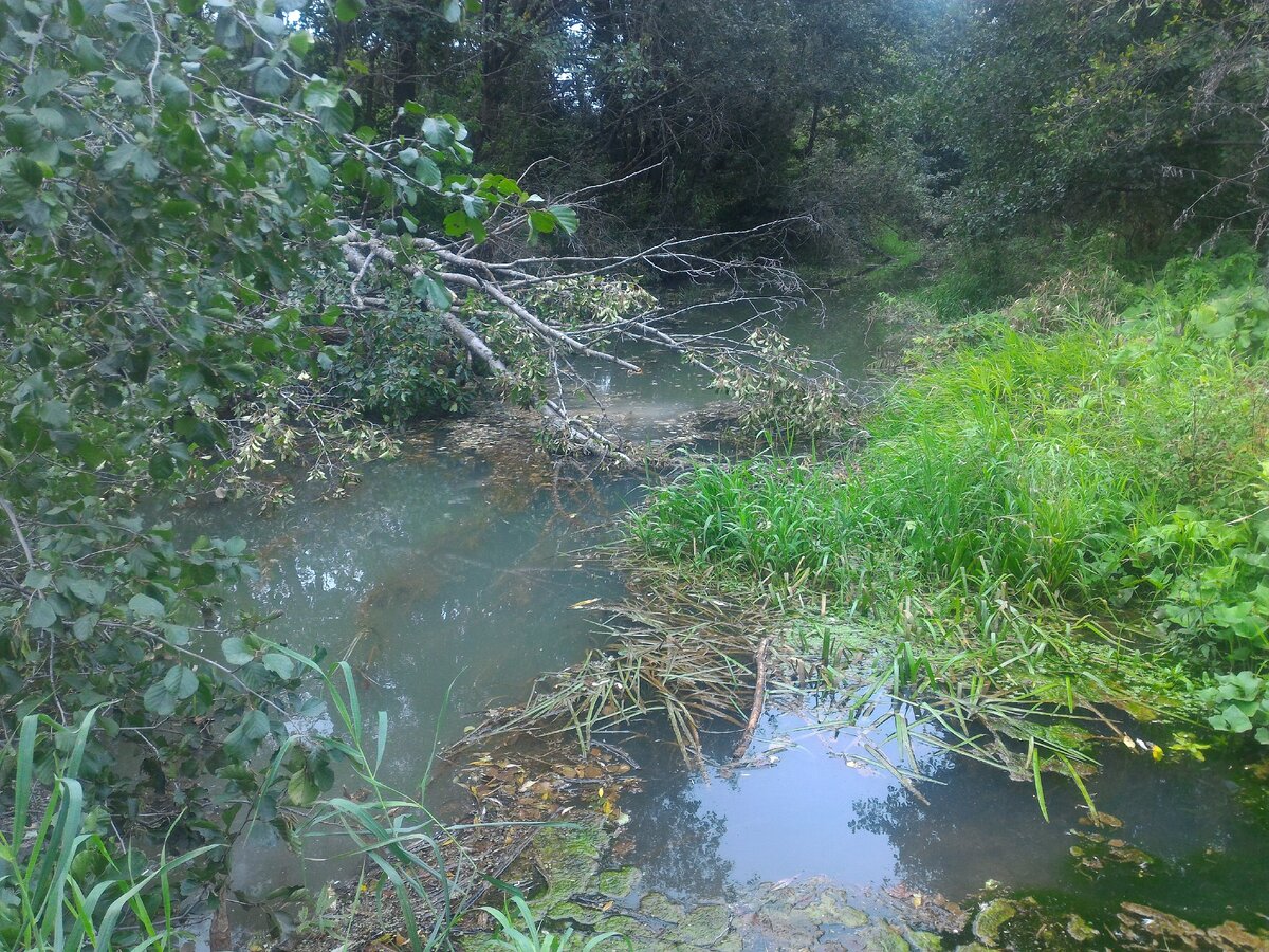 Это наша речка Ирсеть