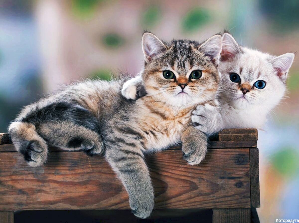 Источник: reddit.com