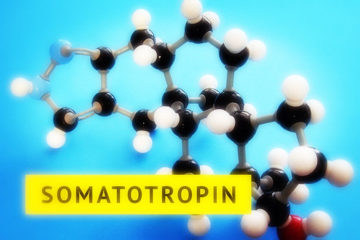 Соматотропин-гормон роста