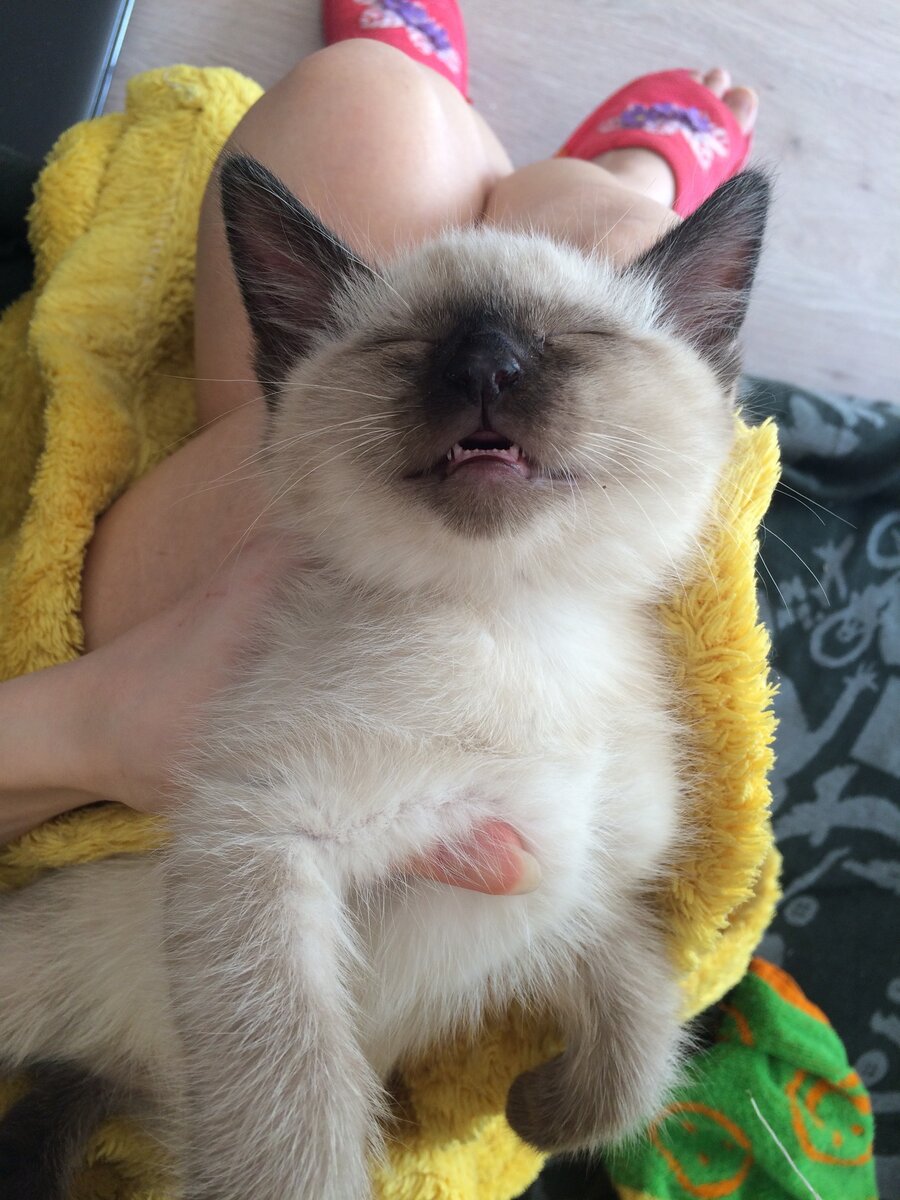 Умотался ребёнок 