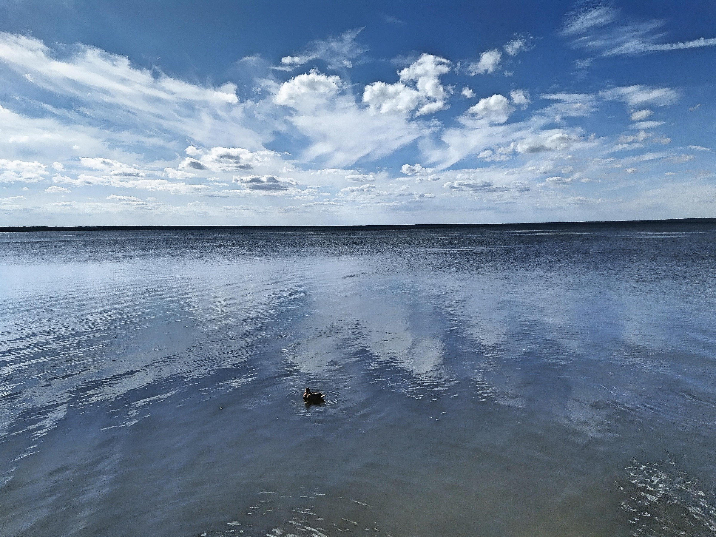 плещеево озеро городской пляж