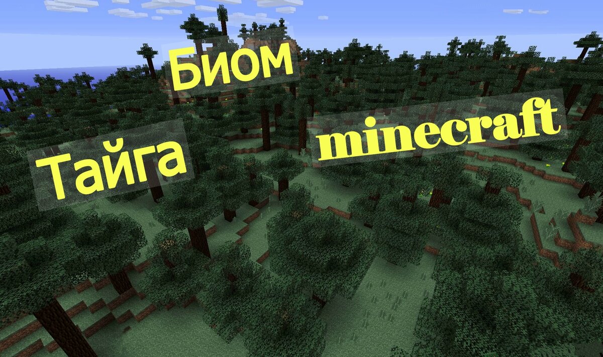 minecraft: Биом Тайга в Майнкрафт. | Мирослав Str0ng | Дзен