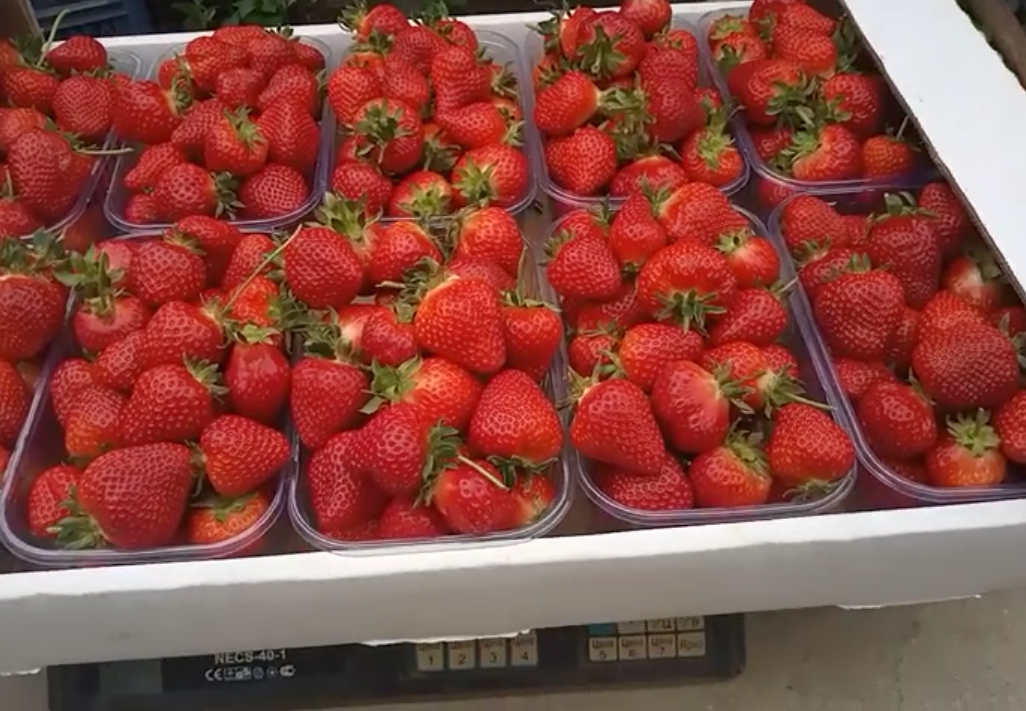 Фото из личного архива автора