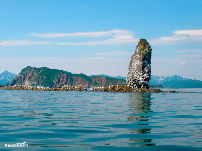 фото с сайта https://kamchatkaland.ru/note/ostrov-starichkov