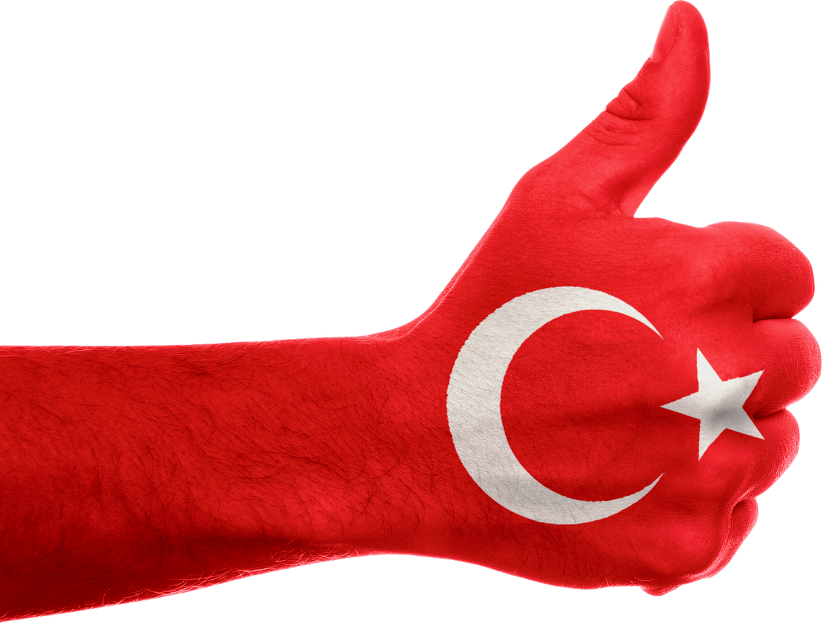  Изображение Kurious с сайта Pixabay 