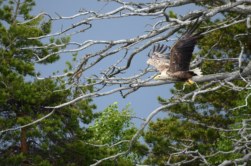 Фото М.Бабушкина