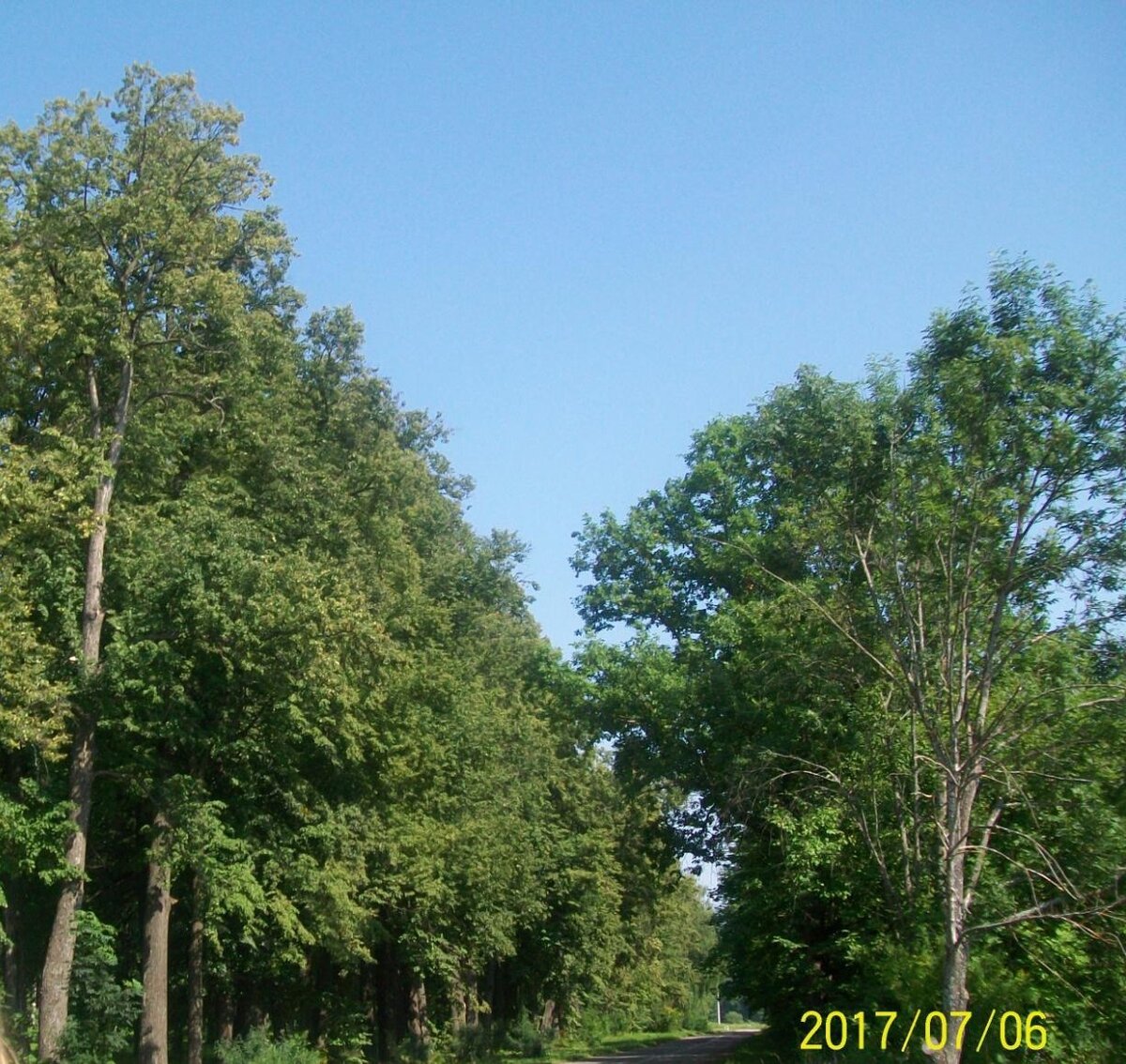 аллея