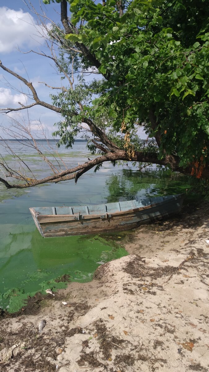 Зелёная лагуна