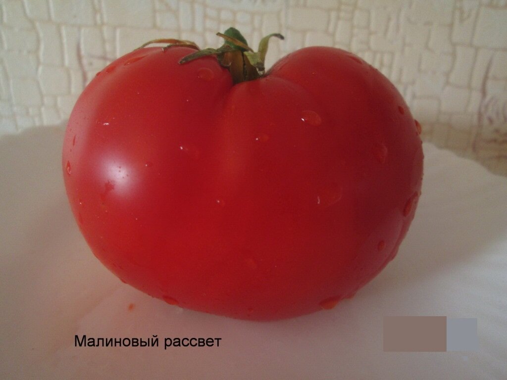 Малиновый рассвет - Стабильное плодоношение.