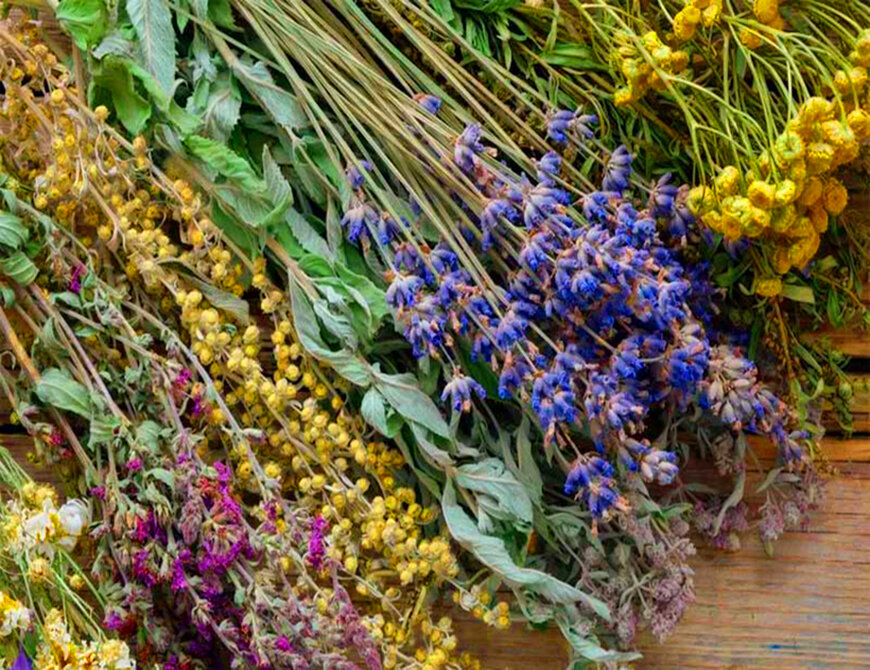 Полынь горькая , мята ,зверобой, пижма ... 