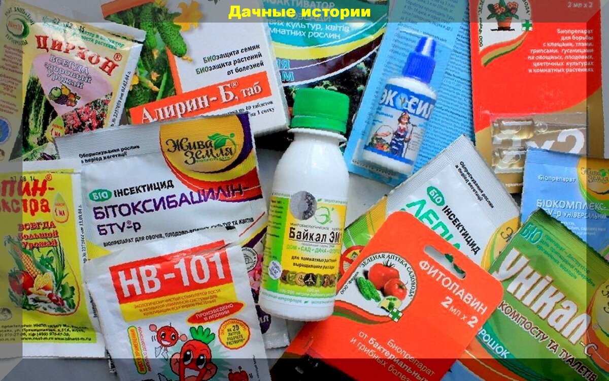 https://vk.com/photo-159774511_457244783