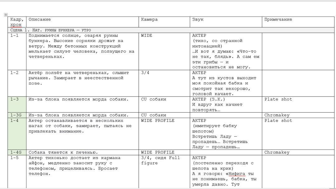 Образец режиссерского сценария