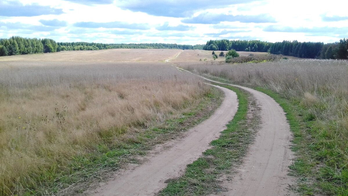 Дорога по полям. Фото из личного архива