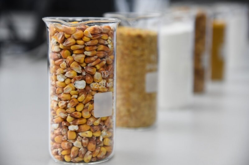 © Фото: ИД «Волгоградская правда» / архив.