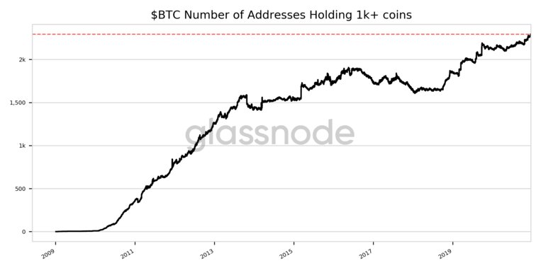 Количество адресов BTC с более чем 1000 монетами. Источник: Glassnode
