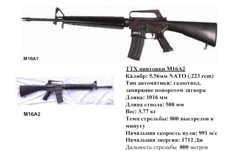 Картинка из открытого доступа