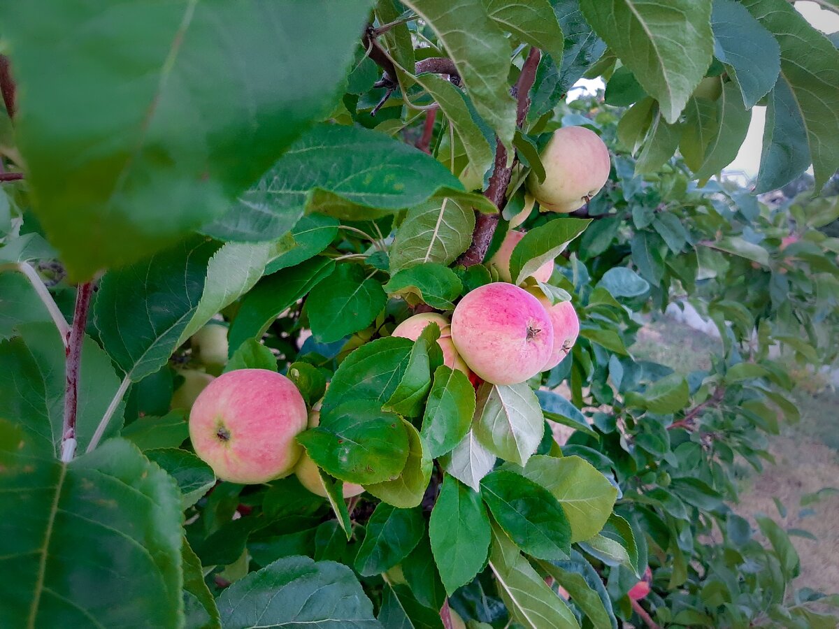Фото: Влада Кузнецова