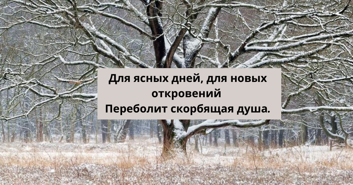 Стих у березы учись них дуба. Стих у березы учись них дуба