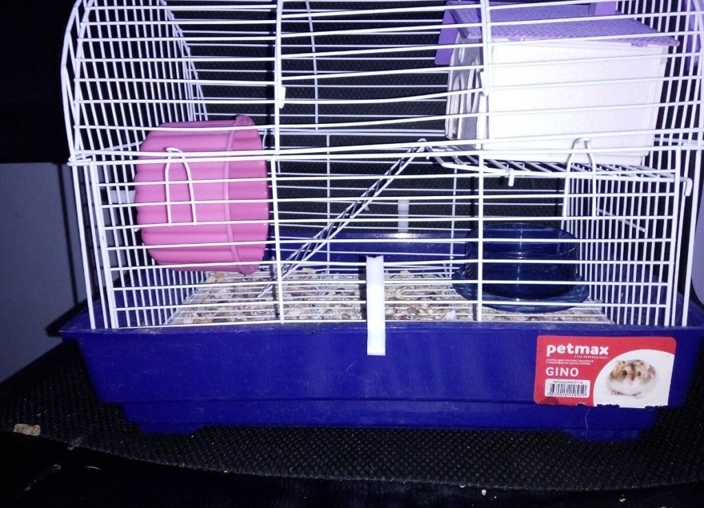 Наша клетка GINO