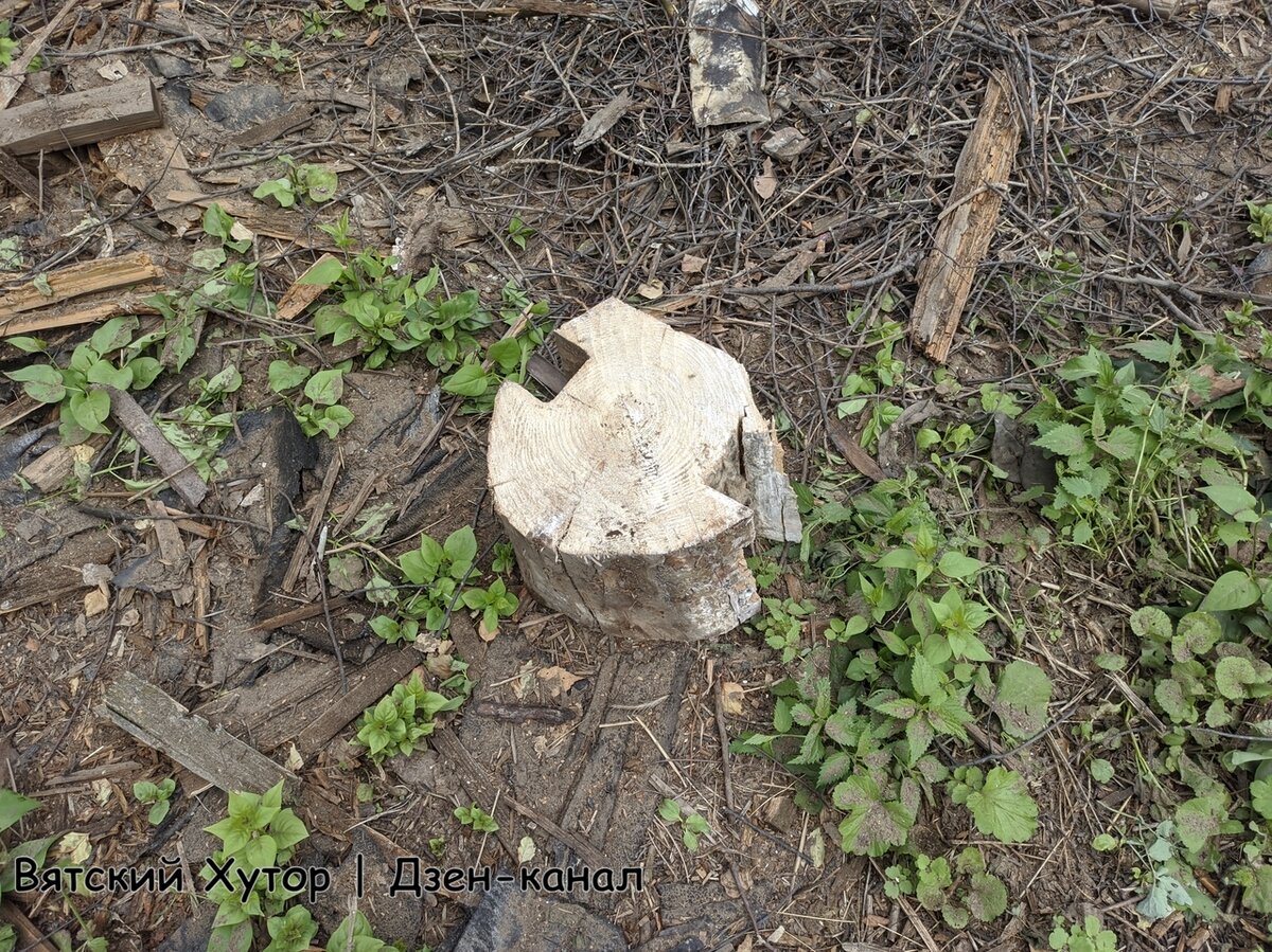 Кусок матицы.