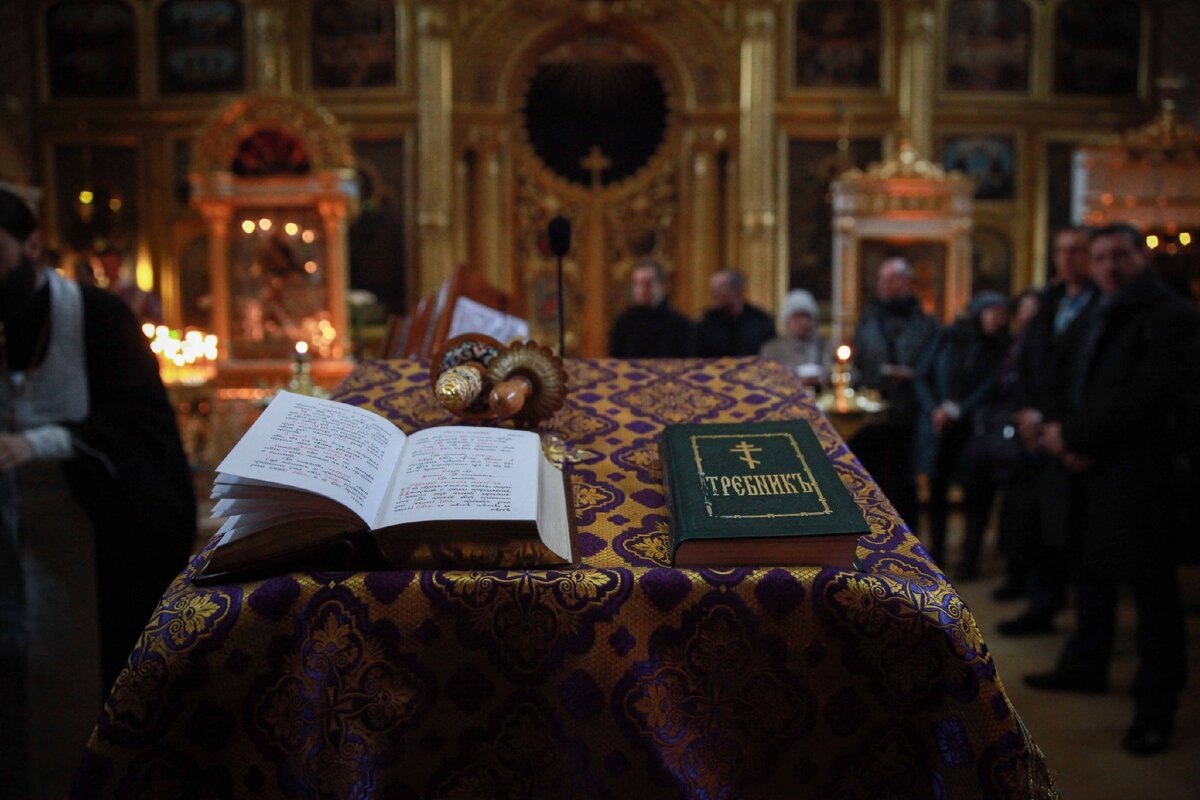 Изображение взято из сети Интернет