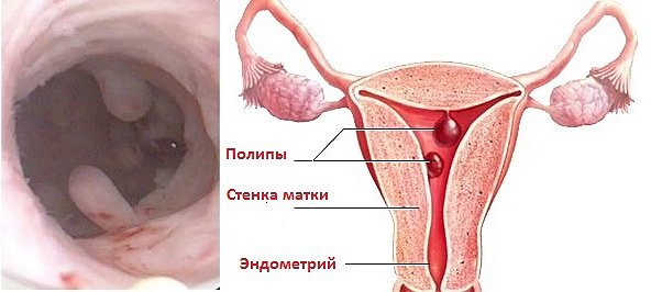 Записаться на прием