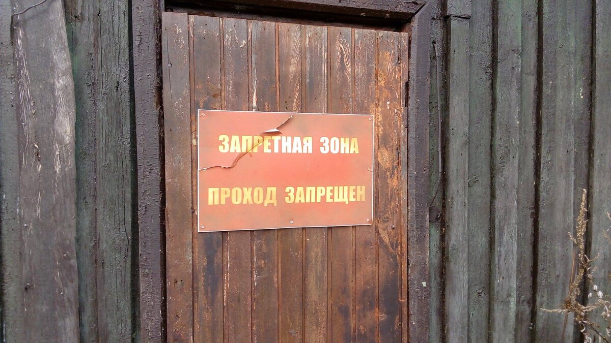 А внутри ещё кто-то лаял.