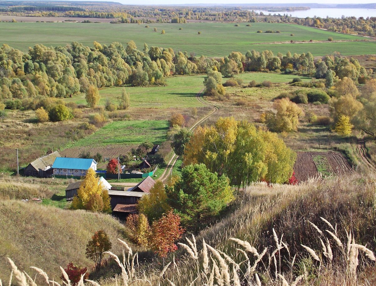 фото автора 