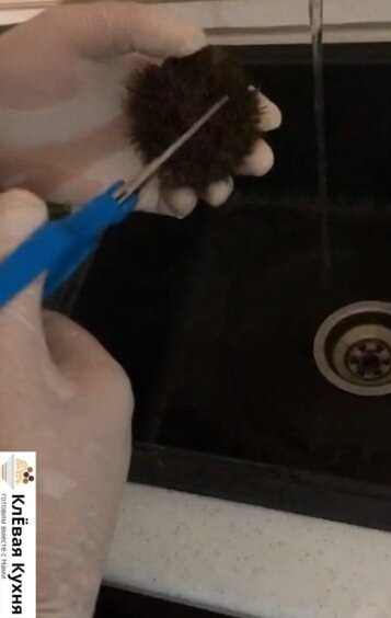 как приготовить и не уколоться