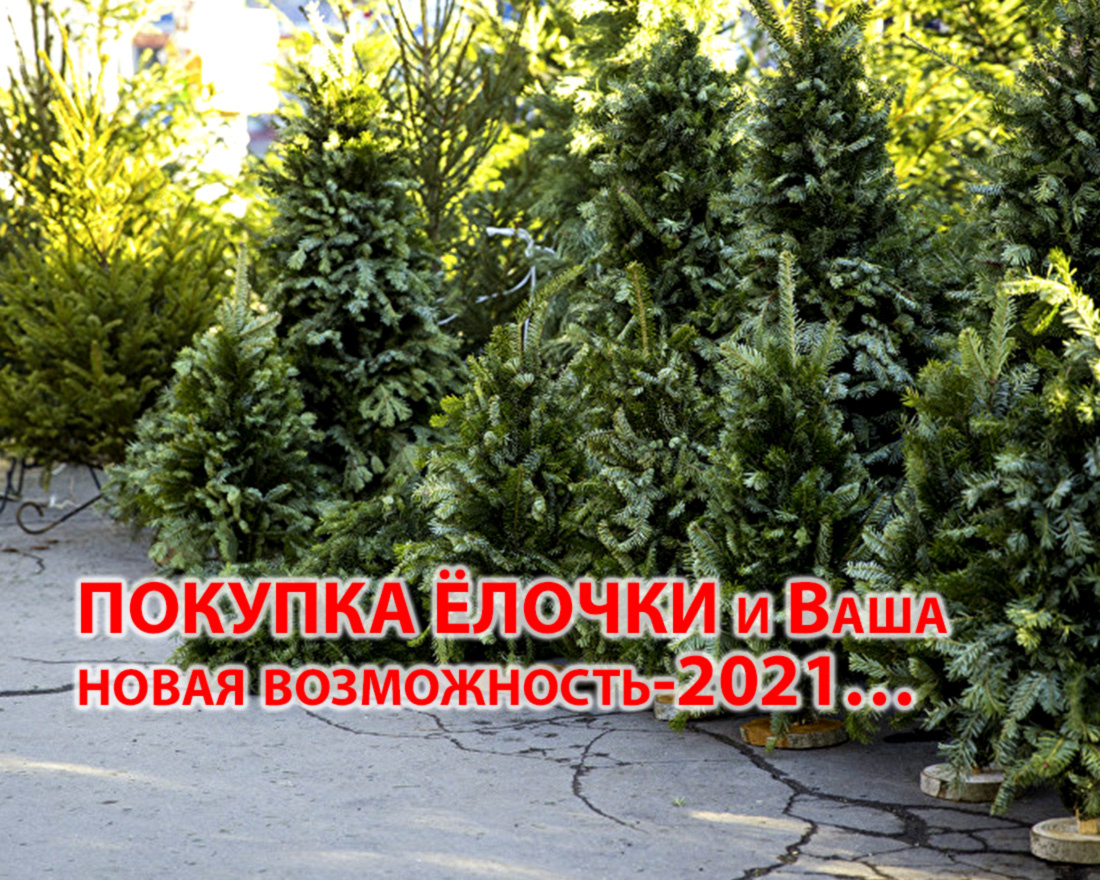 Источник фото