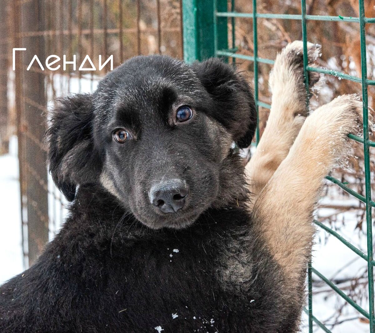 2 девочки и 3 мальчика