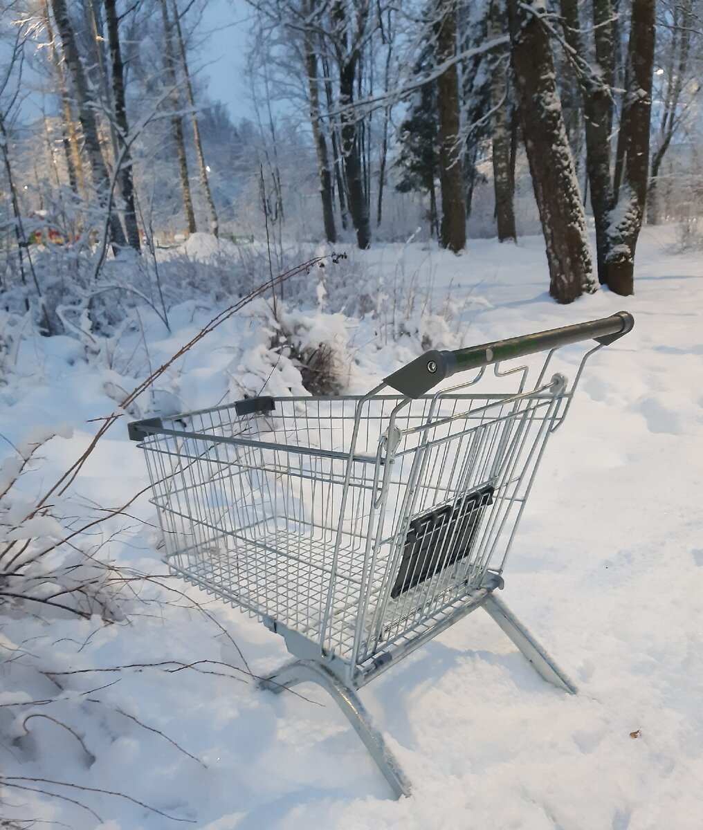 Чудаковатый артефакт в зимнем парке
