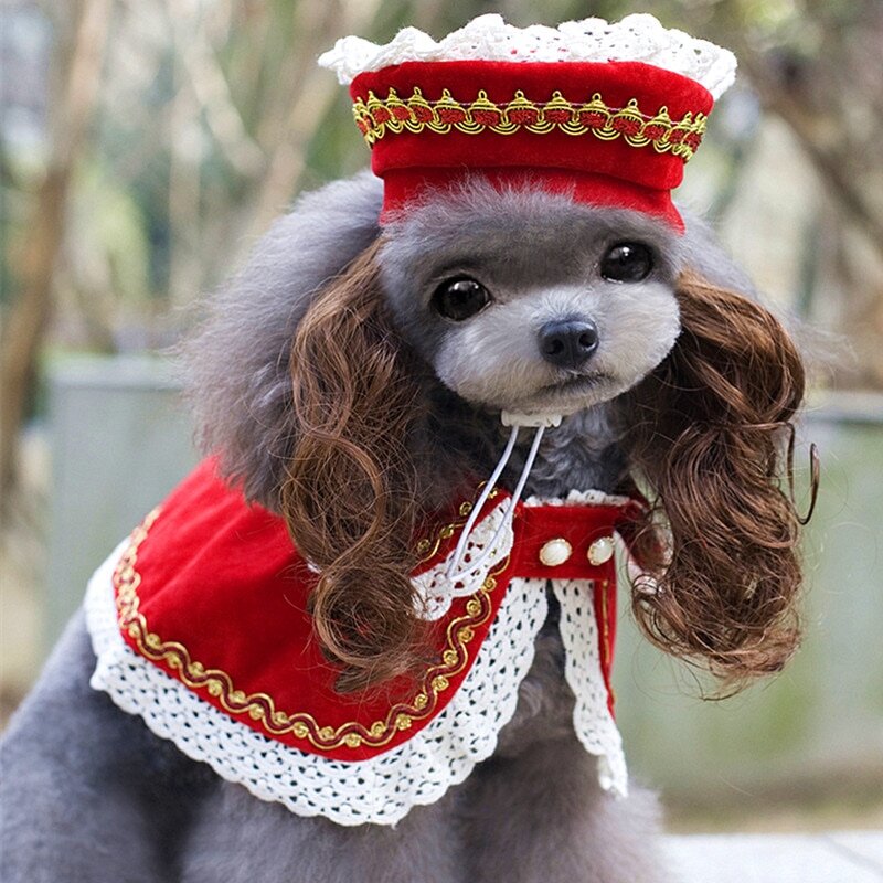 Яндекс картинки