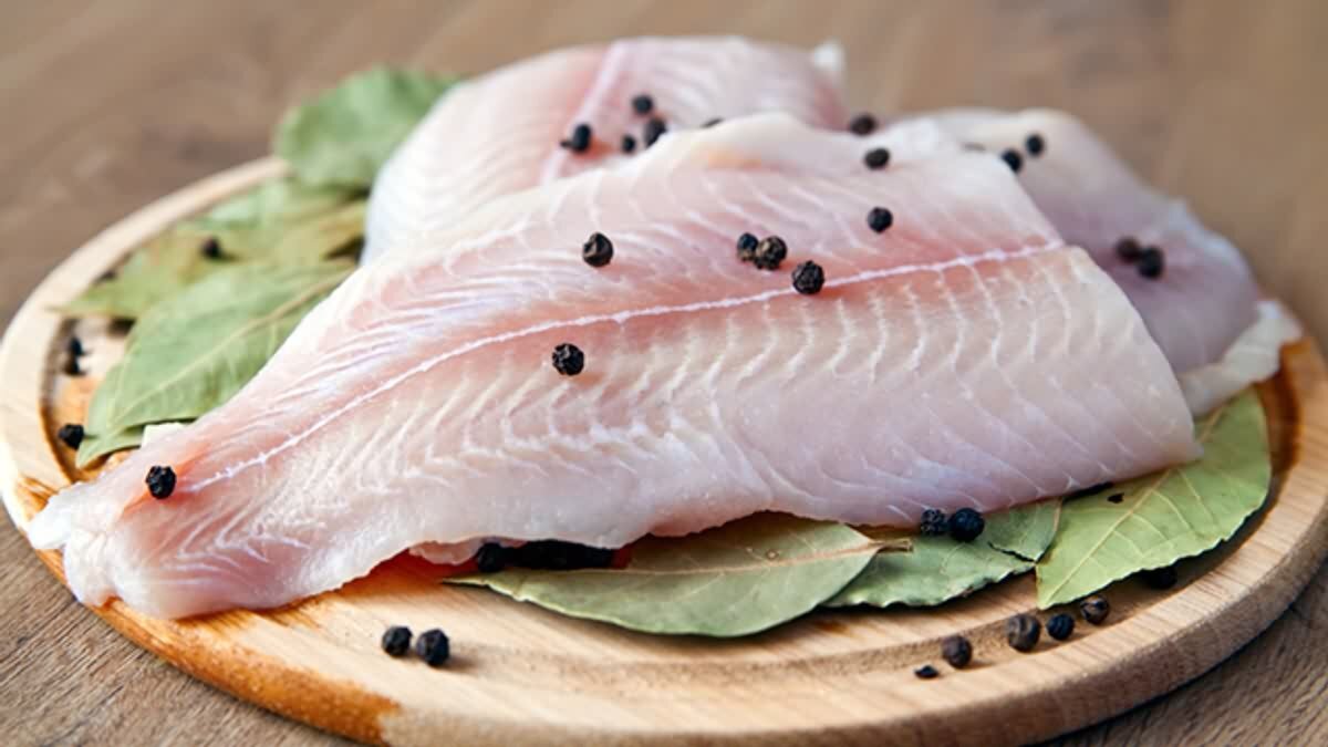 Африканская рыба тилапия. Тилапия рыба. Морская рыба тилапия. Тилапия рыба. Тилапия – королевский окунь.