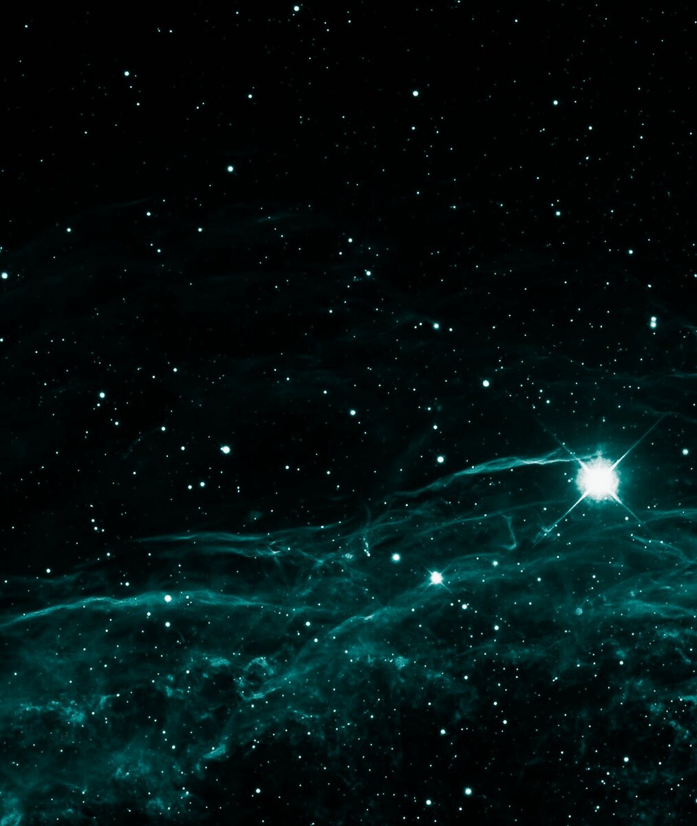 Картинка из интернета