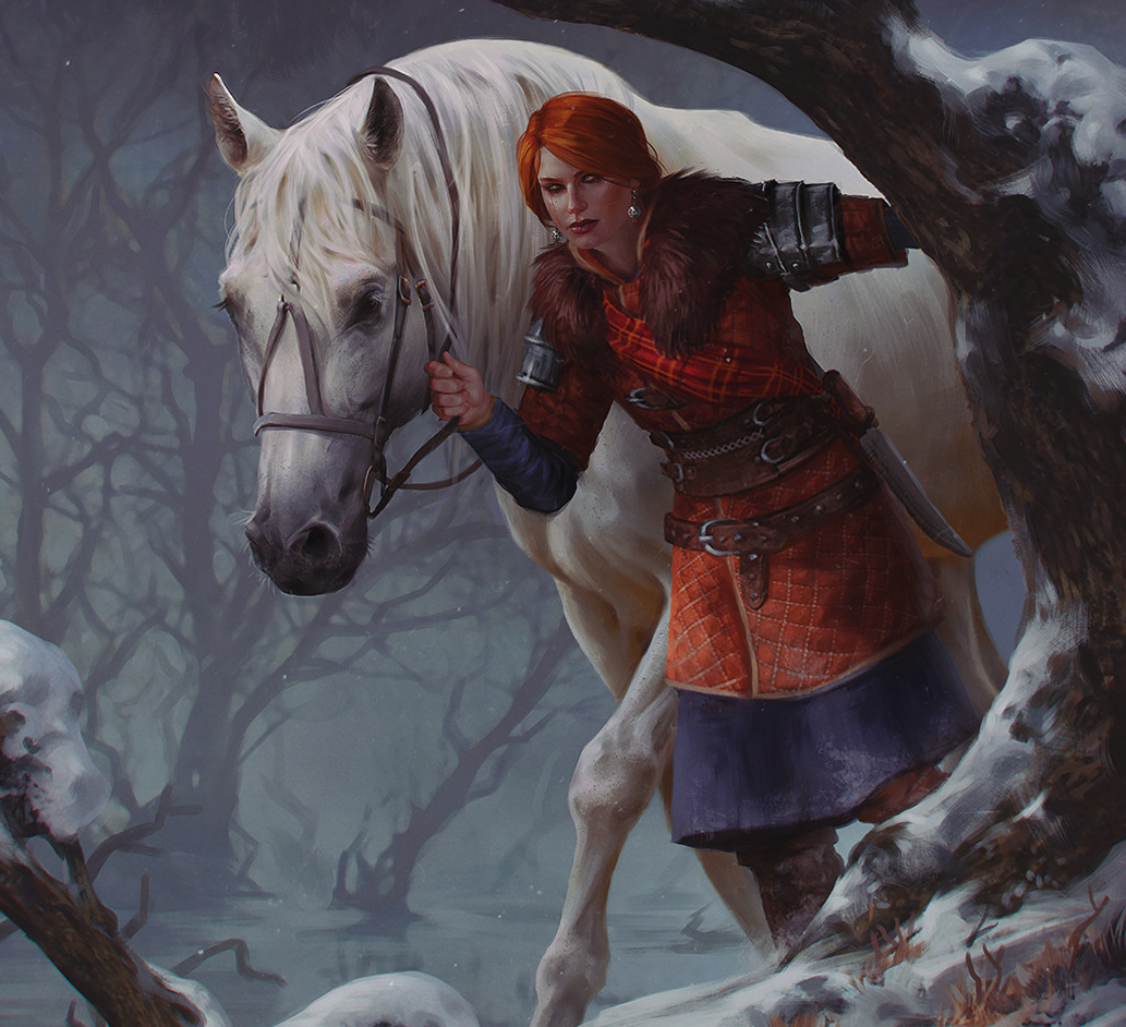 Арт из карточной игры Gwent