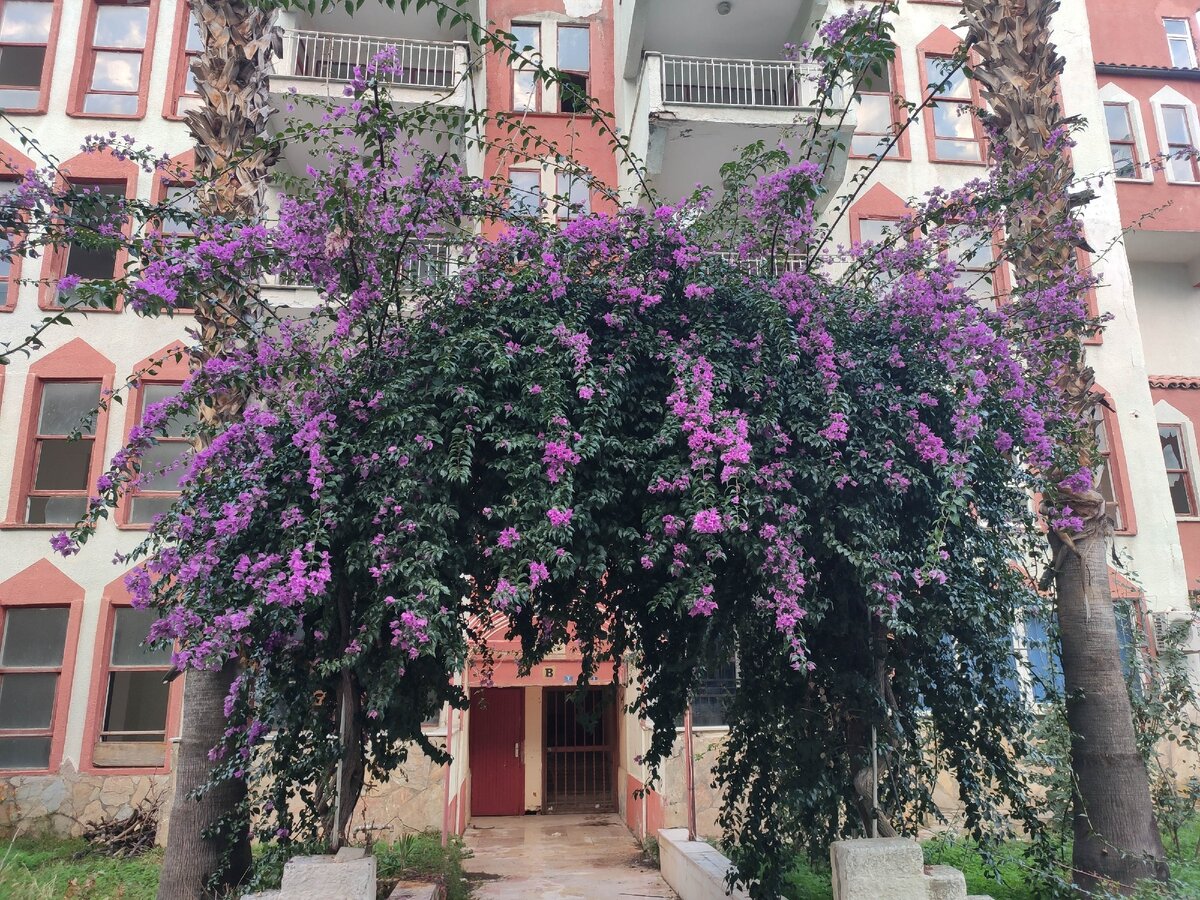 Такая зима в раю