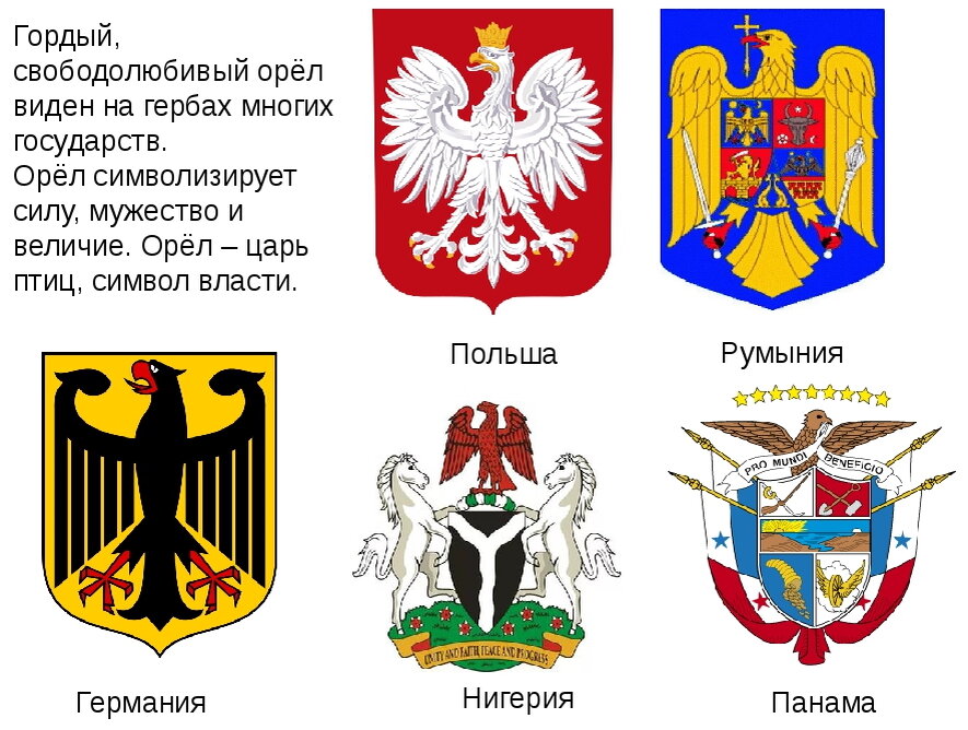 Какой герб региона. Герб орла. Гербы стран с орлом. Орёл на гербах государств. Птицы на гербах государств.