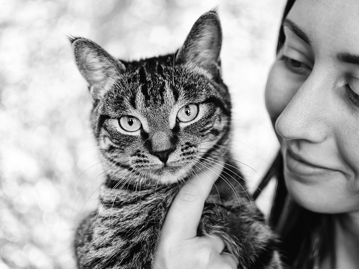 На фото кошка Майя и художник слова Антонина Яхина (@antoninayakhina в Instagram). Автор фото фотограф Ирина Денисова (@irisadidrisa в Instagram)