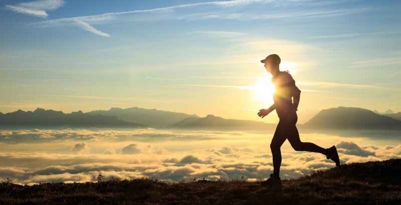 Фото: shutterstock.com