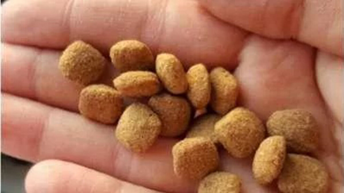 Пригоршня. Горсть. Пригоршня иллюстрация. Ивлин во эксклюзивная классика пригоршня праха. Пригоршня с зерном.