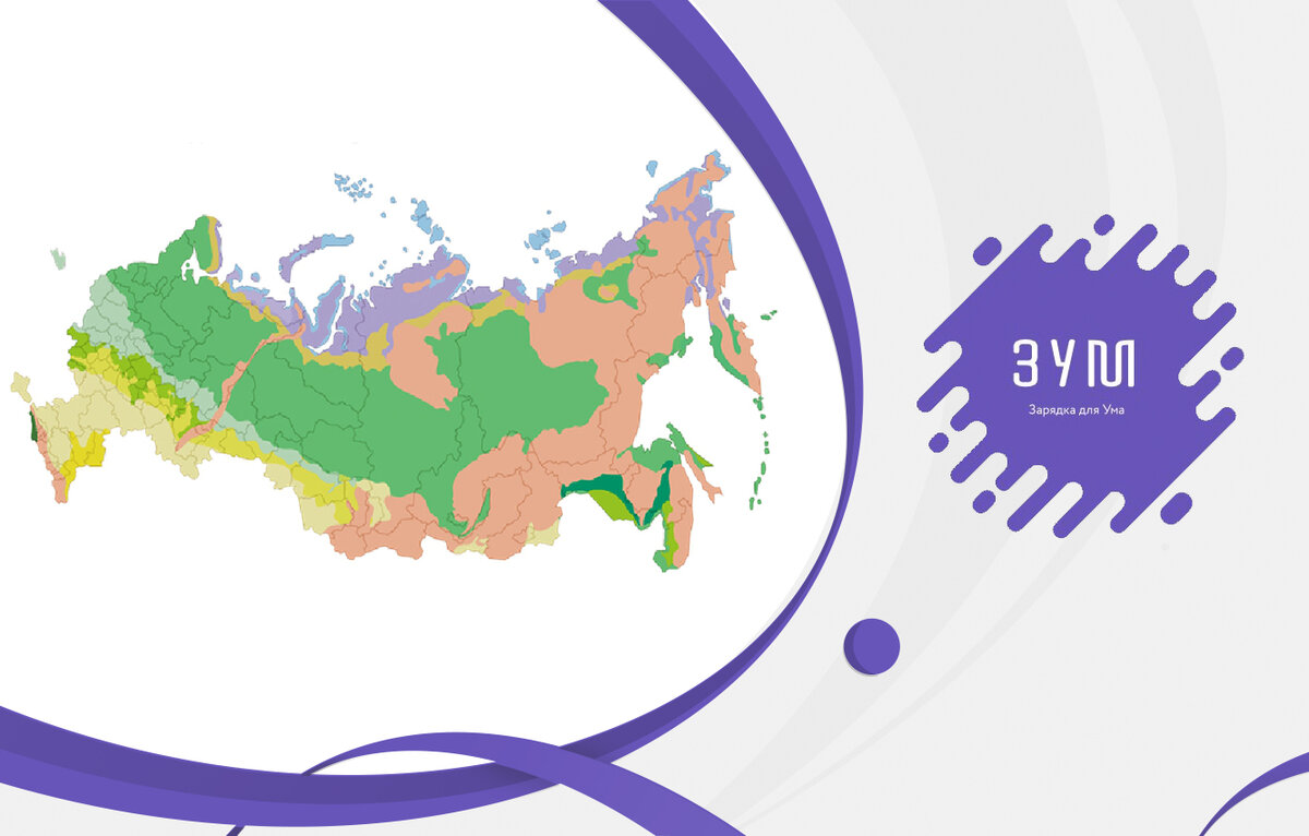 Урок окружающего мира на тему 