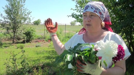 Бесплатный онлайн сервис для планировки участка