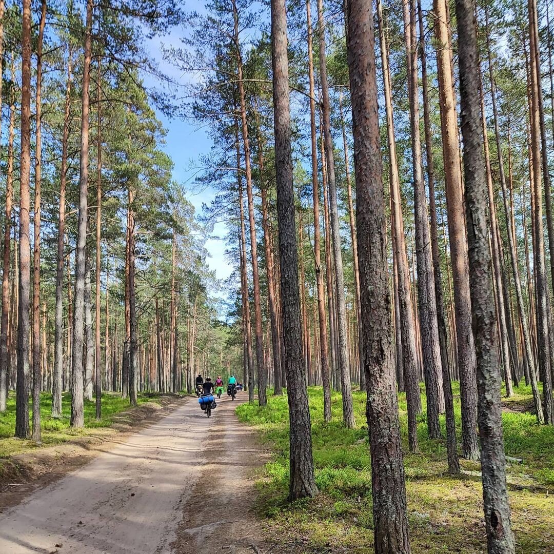 Крепости на фото нет, но смотрите какая красивая дорога к ней