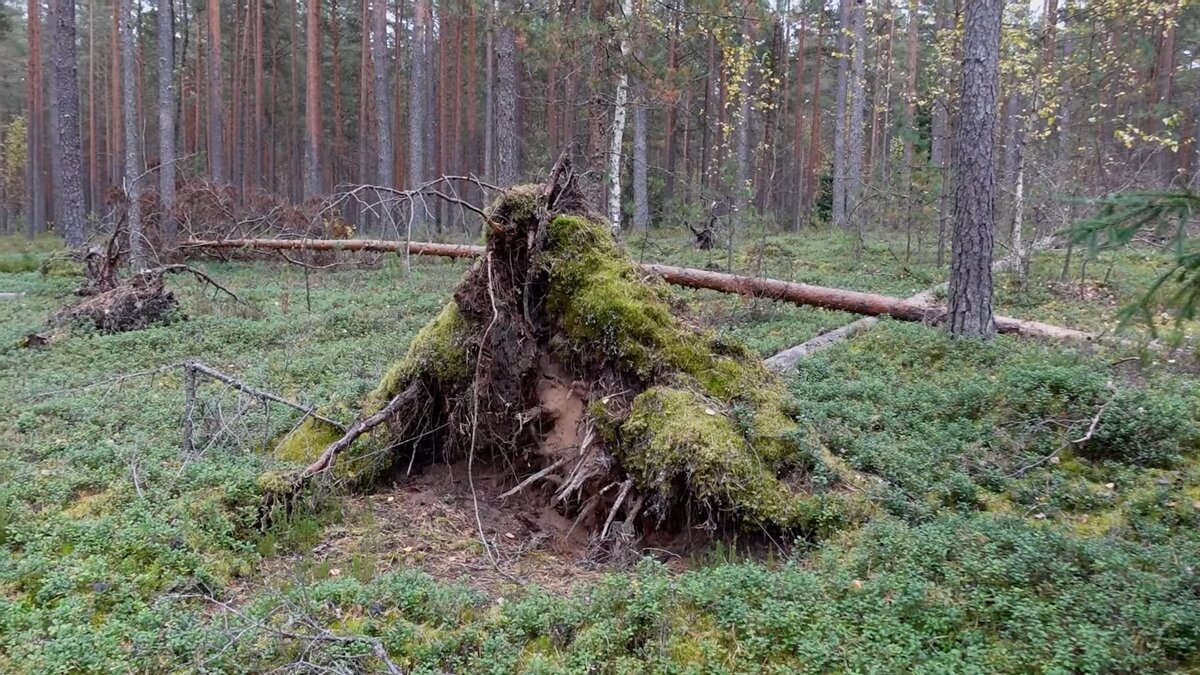 Здесь было древнее поселение.