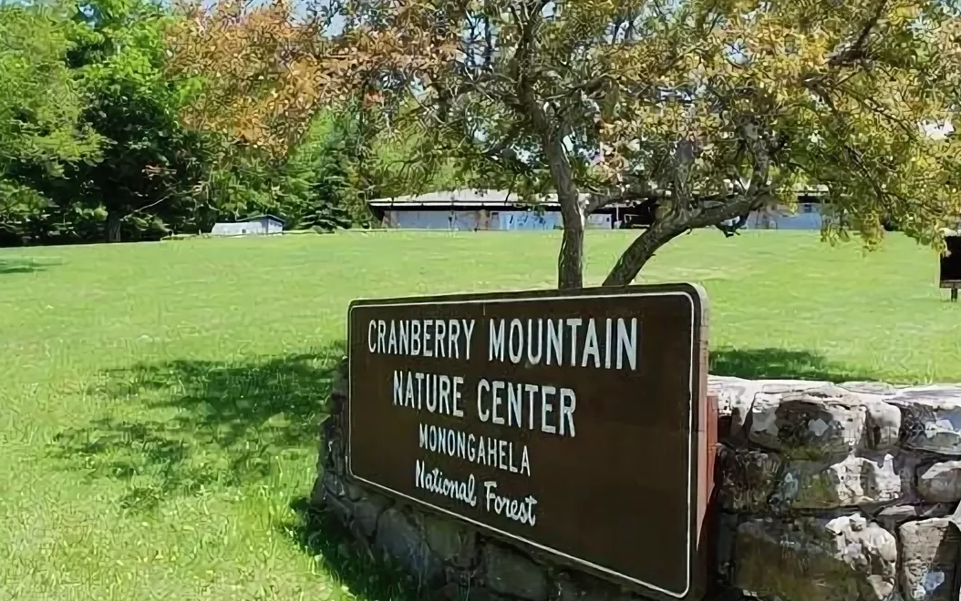 Источник: https://media-cdn.tripadvisor.com/media/photo-s/04/07/ce/0b/cranberry-mountain-nature.jpg