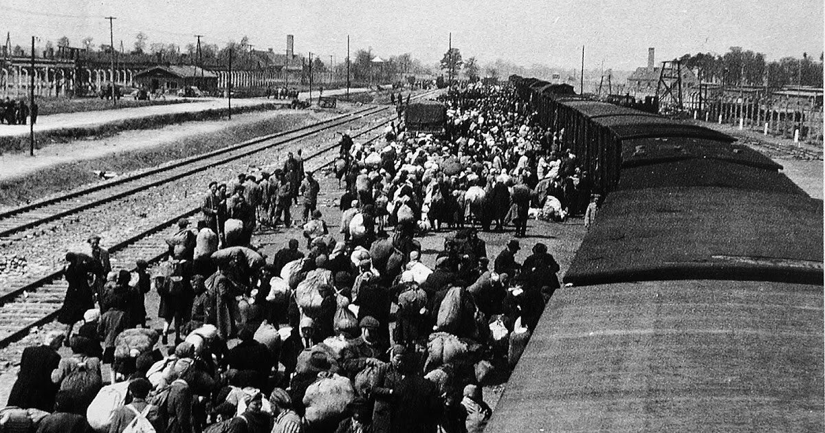 Фотографии из интернета в свободном доступе